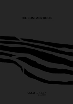 Graphic and descriptive presentation of the history, values, companies ...
